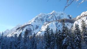 (Foto: Grega Prebil)