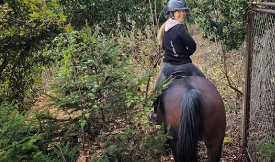 Znana Slovenka besna: "Organizacija je na ravni afriške državice"