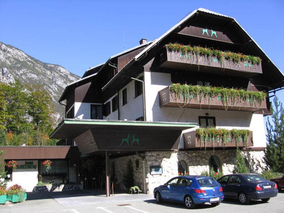 Bohinjski hoteli (na fotografiji hotel Zlatorog), ki so v lasti družine Pačnik, 