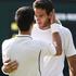 Novak Đoković Juan Martin del Potro Wimbledon polfinale