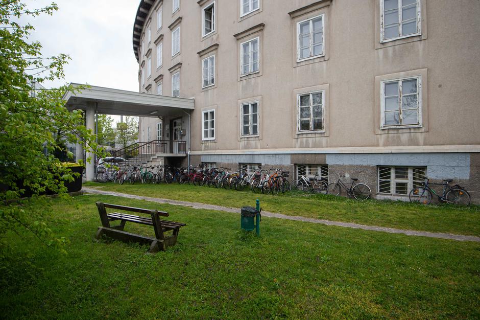 Baragovo semenišče | Avtor: Anže Petkovšek