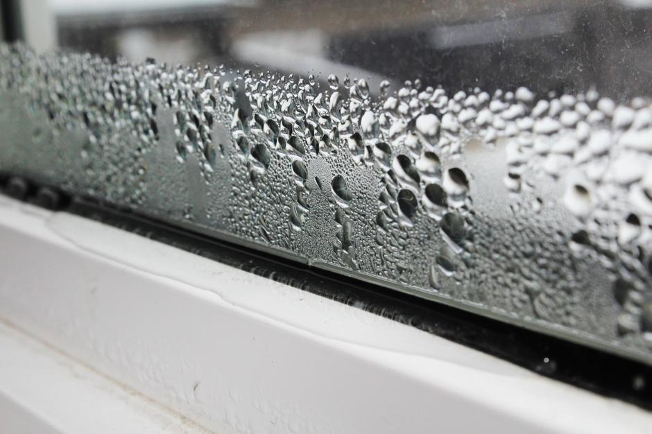 Okna, kondenzacija | Avtor: Profimedia - Kondenz je posledica slabega prezračevanja.