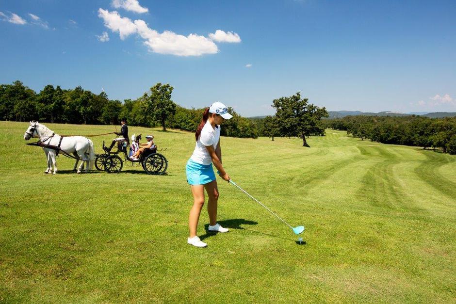 Kobilarna Lipica | Avtor: Kobilarna Lipica