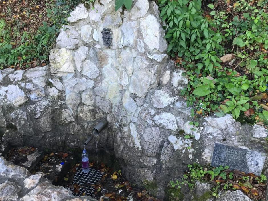 Voda iz studenca | Avtor: Mestna občina Celje