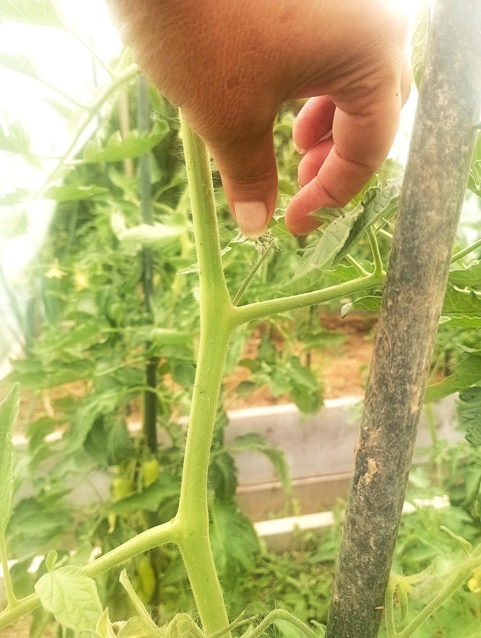 trganje zalistkov | Avtor: Žurnal24 