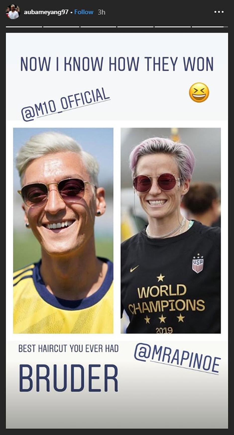 Mesut Özil/Megan Rapinoe | Avtor: Reševalni pas/Twitter