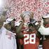 NCAA Nowl BCS Championship game