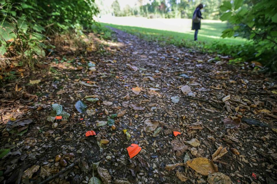 Toško Čelo | Avtor: Saša Despot