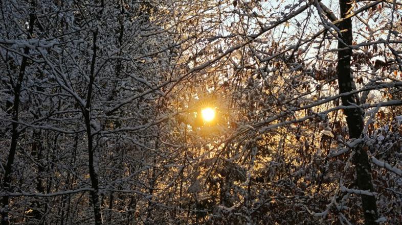 Sneg, zasnežena cesta, vreme, zima