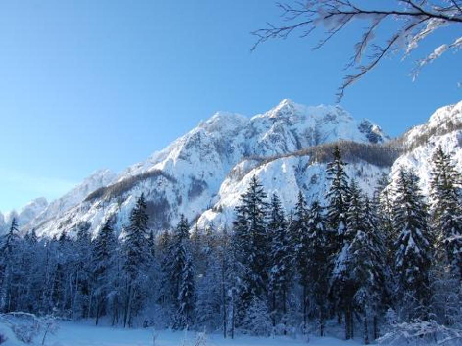 (Foto: Grega Prebil)