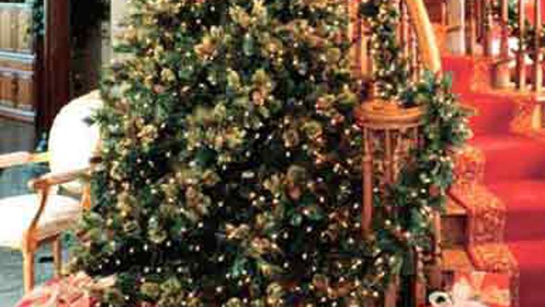 David je to storil iz maščevanja.  vir: iStock