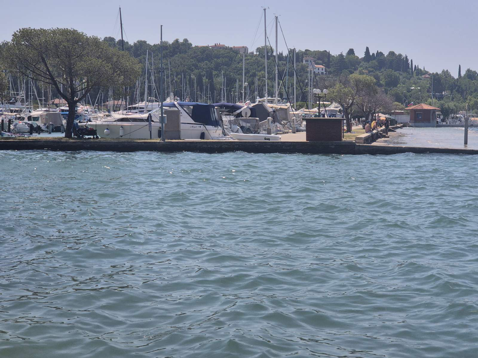 Portoroška plaža, onesnažena z nafto