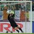 španija irska given torres gol strel  Gdansk Euro 2012 žoga mreža zadetek