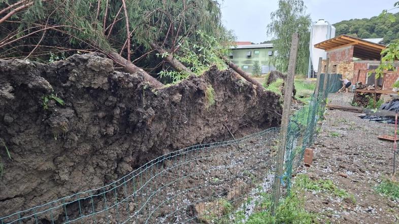 Sveti Andraž v Slovenskih goricah posledice neurja