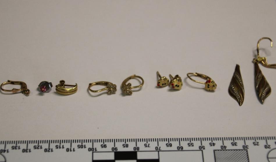 Tako so občani pomagali policistom ujeti vlomilce