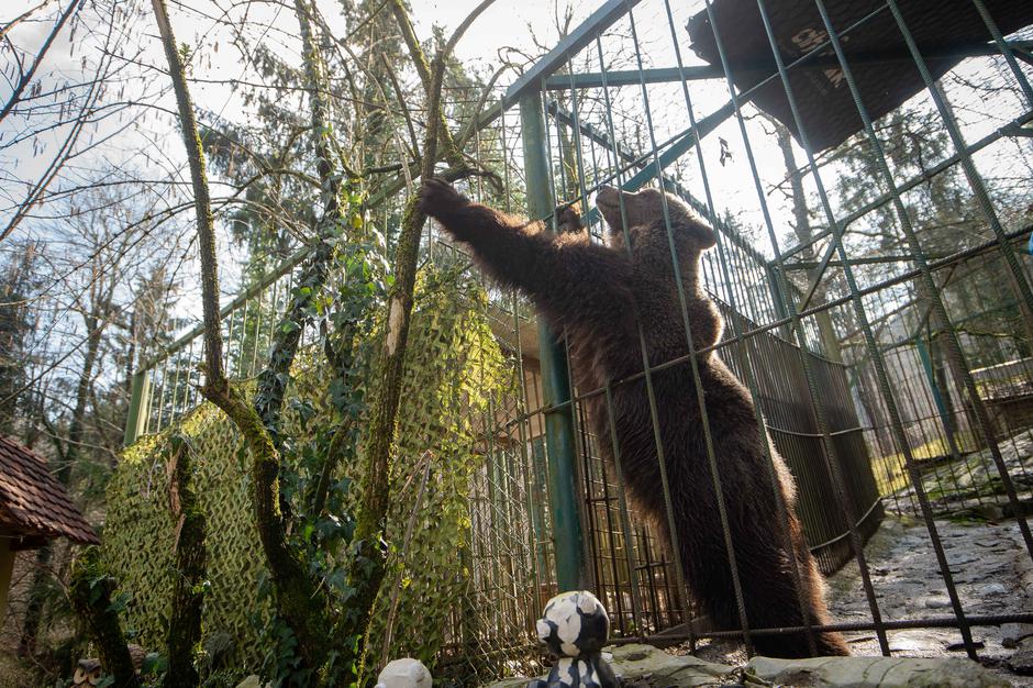 Zoo Park Rožman | Avtor: Anže Petkovšek