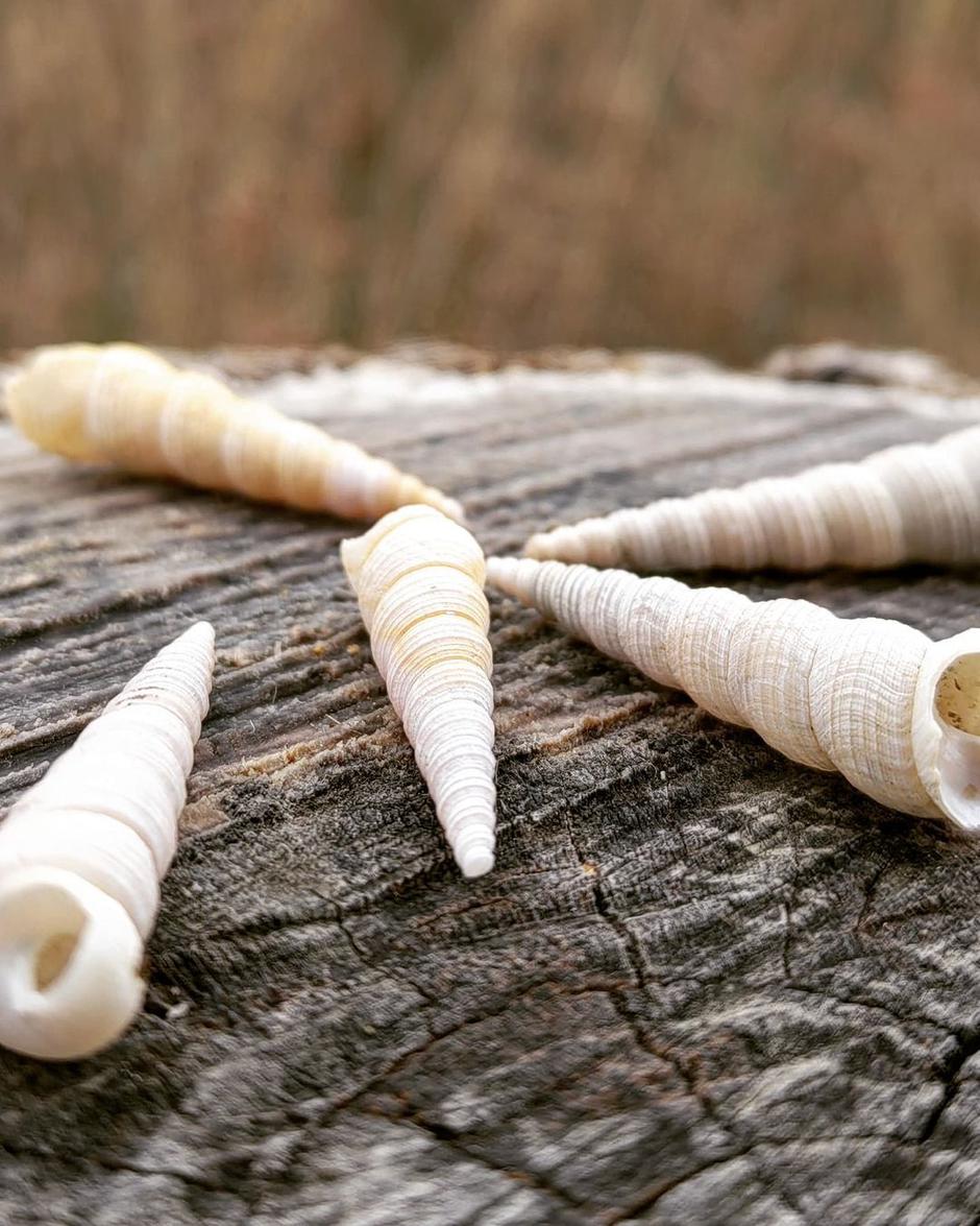 Komotar, Huawei | Avtor: Huawei