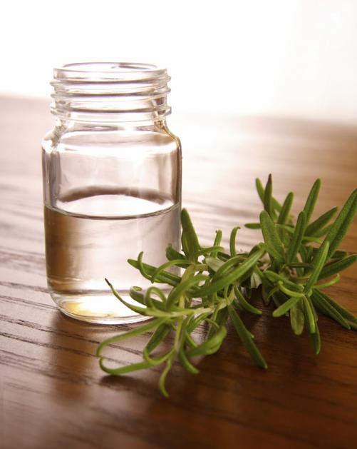 zivljenje 28.08.07, rozmarin, etericno olje, foto:istock foto