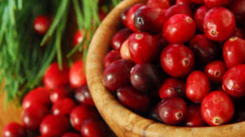 Kisle male brusnice so pravi naravni antibiotik.