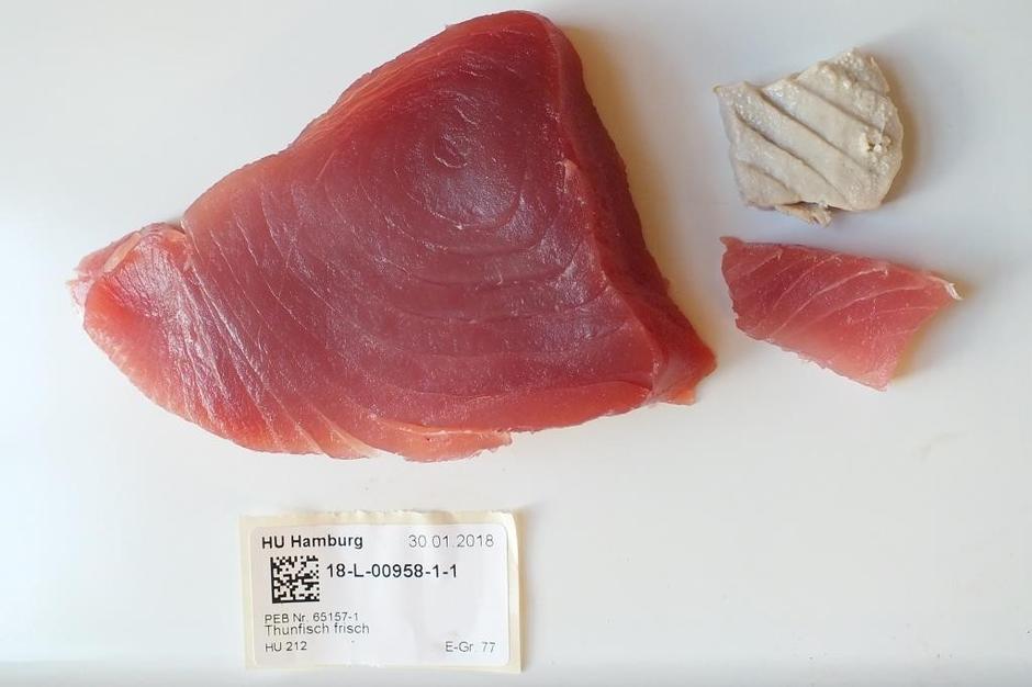 Zasežena tuna, Europol | Avtor: Europol 