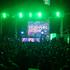 Tuborg Green Beat festival v Papayi