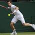Andy Murray Wimbledon polfinale