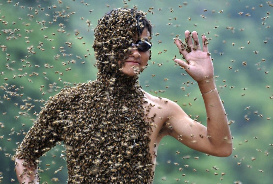 Tekmovanje v nošenju čebel