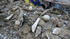 Fotografija je simbolična. (Foto: Žurnal24)