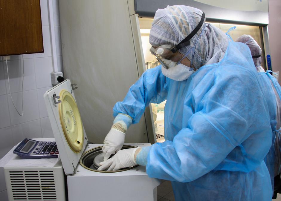 Koronavirus | Avtor: Profimedia