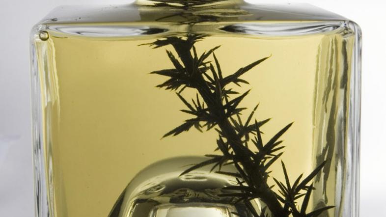 V steklenici je bila namesto encijana namočena neznana rastlina. Fotografija je 