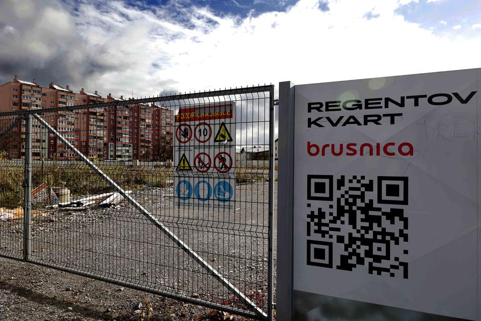 Regentov kvart brusnica | Avtor: Saša Despot