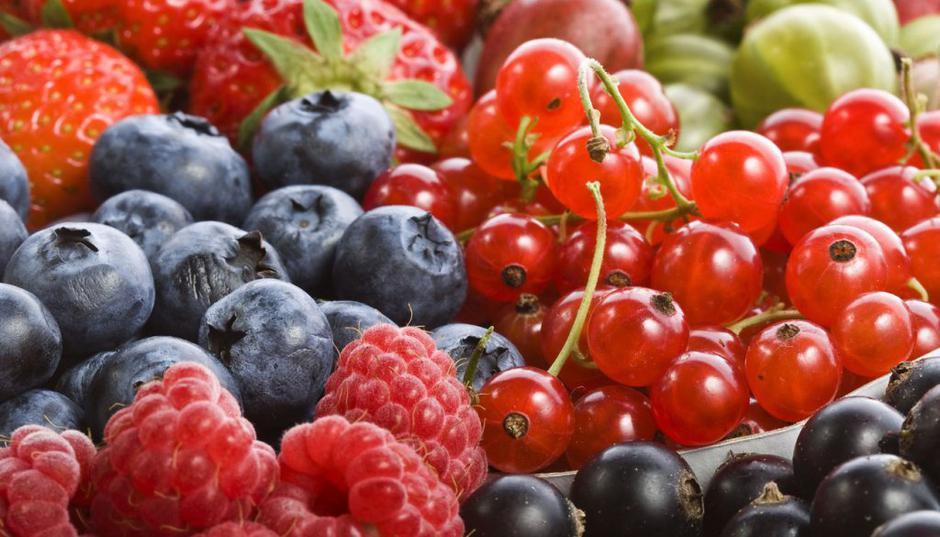 jagodičevje | Avtor: Shutterstock