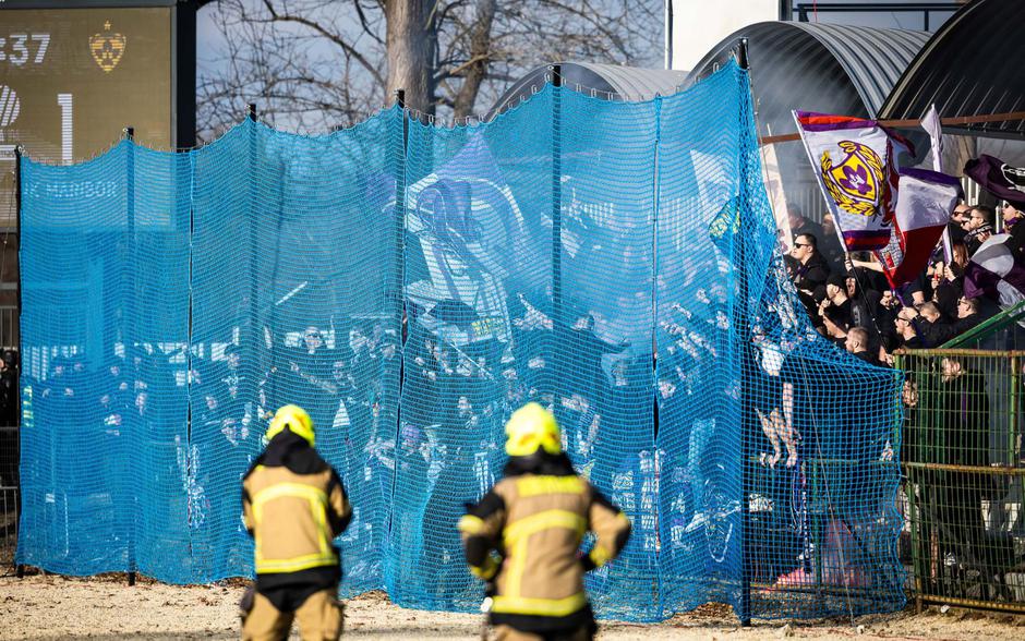 Viole Fazanerija | Avtor: sobotainfo.com/Jure Banfi