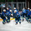 slovenska hokejska reprezentanca