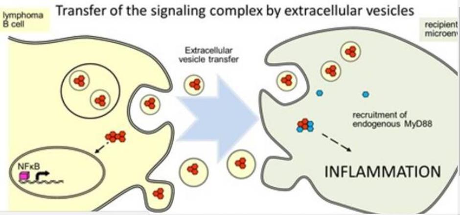  | Avtor: Kemijski inštitut