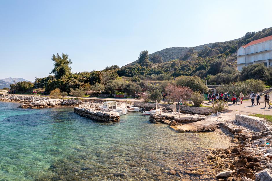  | Avtor: Dimitri Medvedev