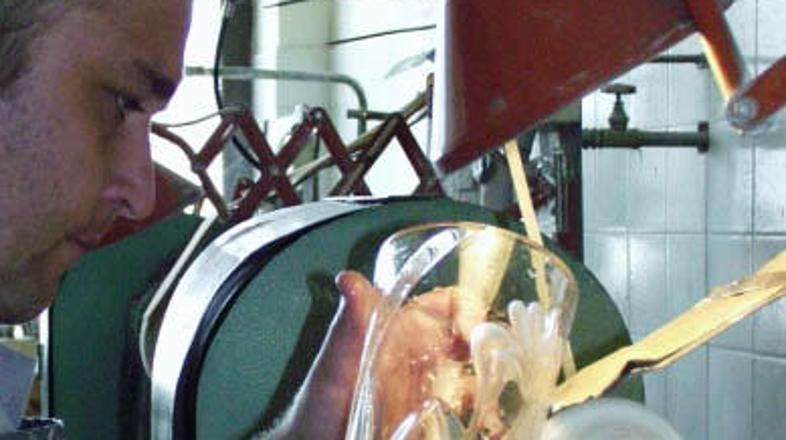 Delavci Steklarske nove v stečaju so pripravljeni tudi sami zagnati proizvodnjo,