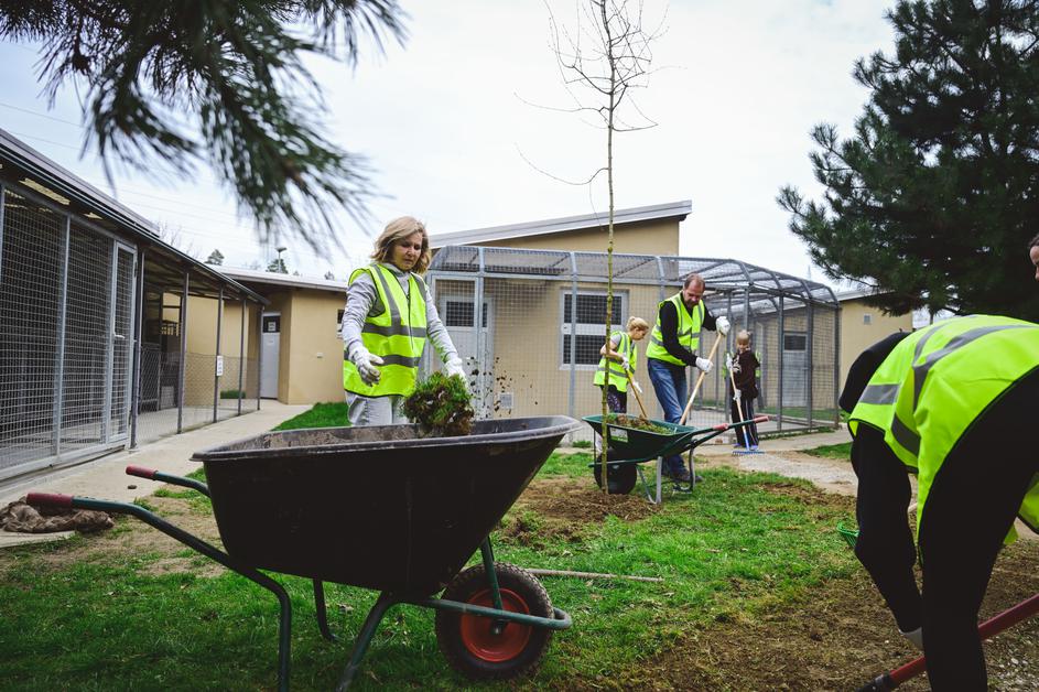 Dobrodelna akcija v Zavetišču za živali Maribor s strani zaposlenih NKBM