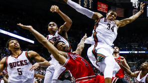 chicago bulls derrick rose