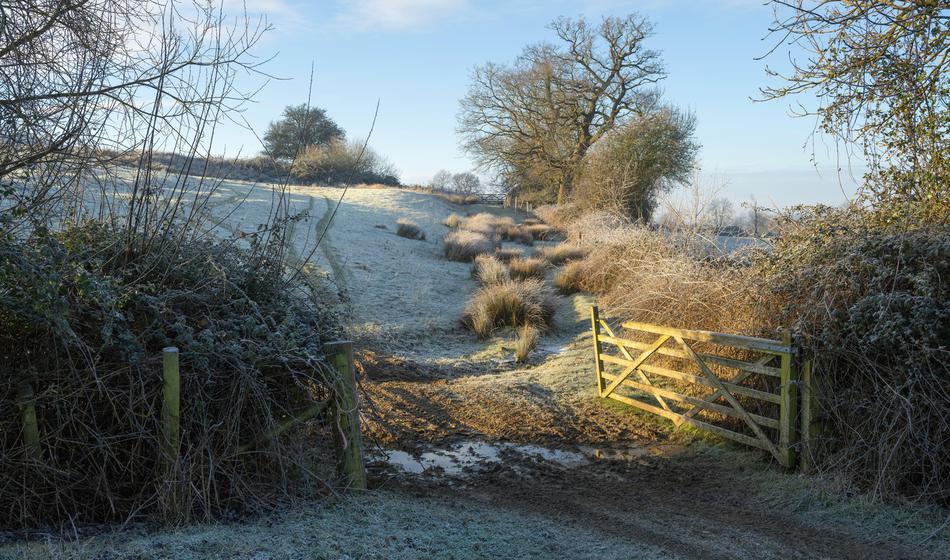 Vrmenska napoved: Izkoristite lepe dneve, spet prihaja fronta in z njo mraz
