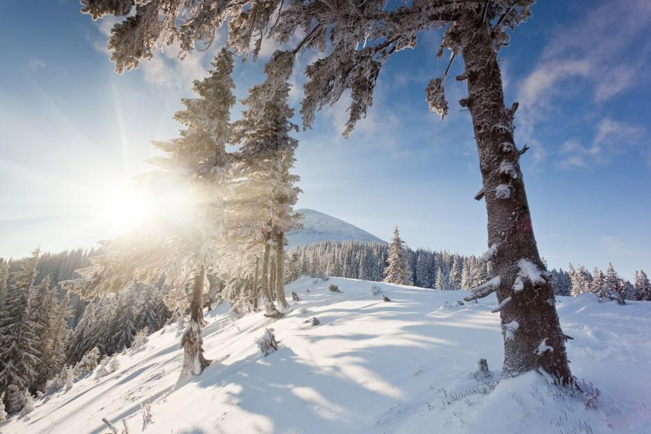 Sončen zimski dan  | Avtor: Shutterstock