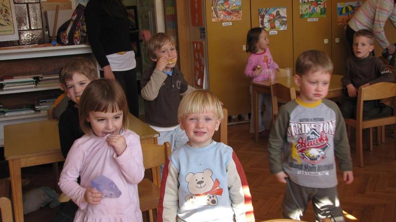 Po navedbah pristojnih so vsi novomeški javni vrtci vpisani v razvid izvajalcev.