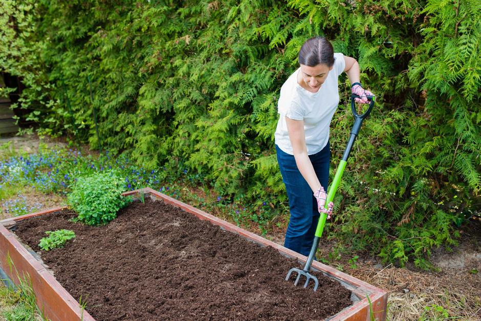 vrtna tla | Avtor: Profimedia