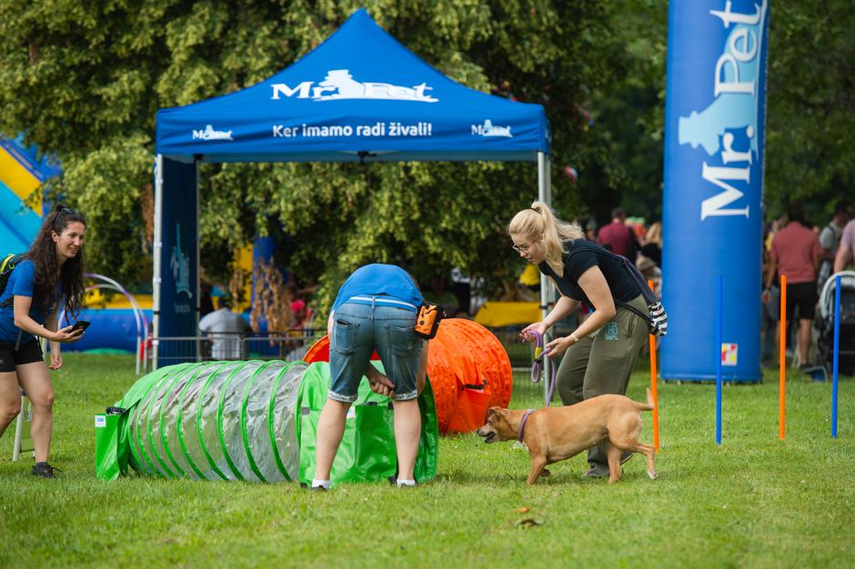 Festival za ljubitelje živali | Avtor: Anže Petkovšek