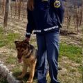 policistika in pes