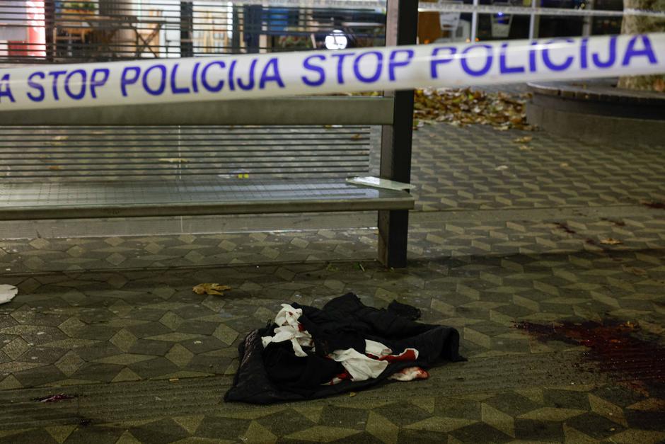 bavarski dvor | Avtor: Saša Despot