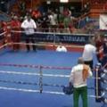Vido Lončar pretepela sodnika EP v boksu Zagreb