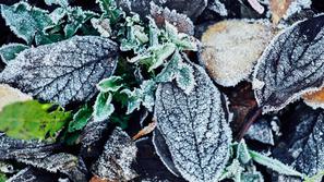 Hladno jesensko jutro