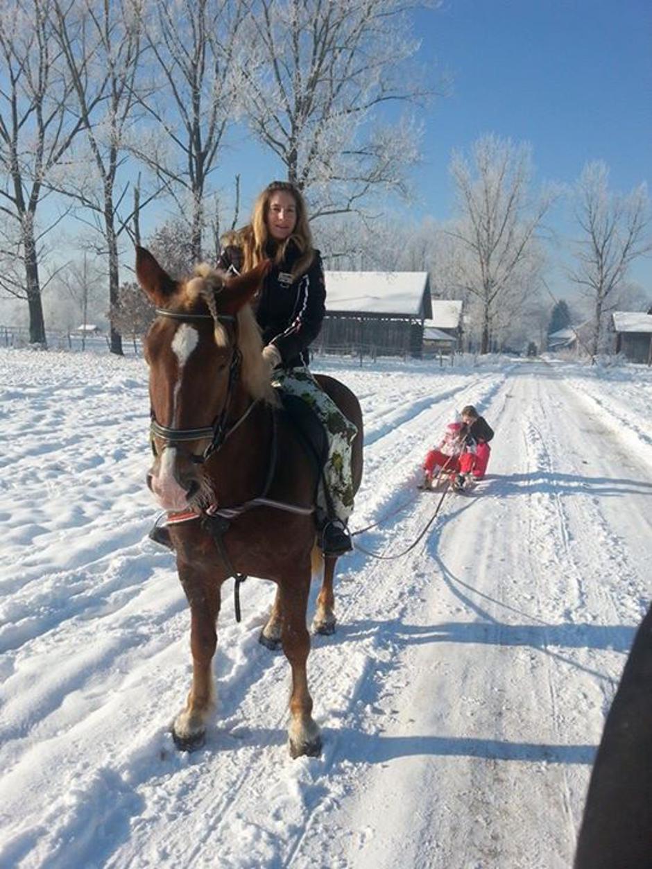 Naxus | Avtor: Konjeniški klub Gibanje