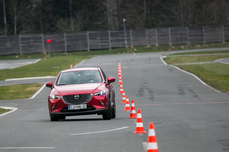 Veliki primerjalni test križancev